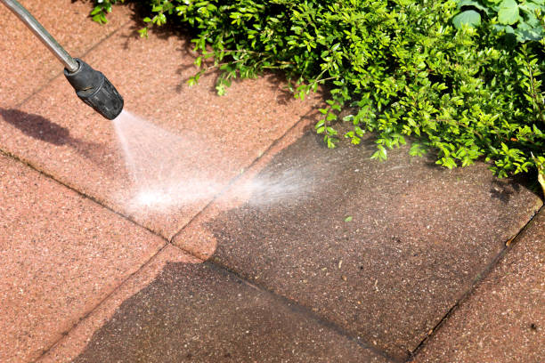 Best Exterior Home Cleaning  in Cassville, MO